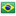 flag br